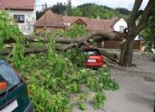 Kwikfynd Tree Cutting Services
portsmith